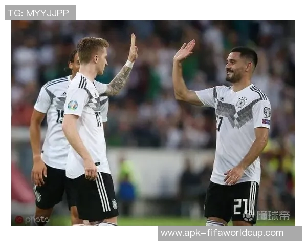 荷兰与爱沙尼亚足球比赛精彩比分回顾与分析